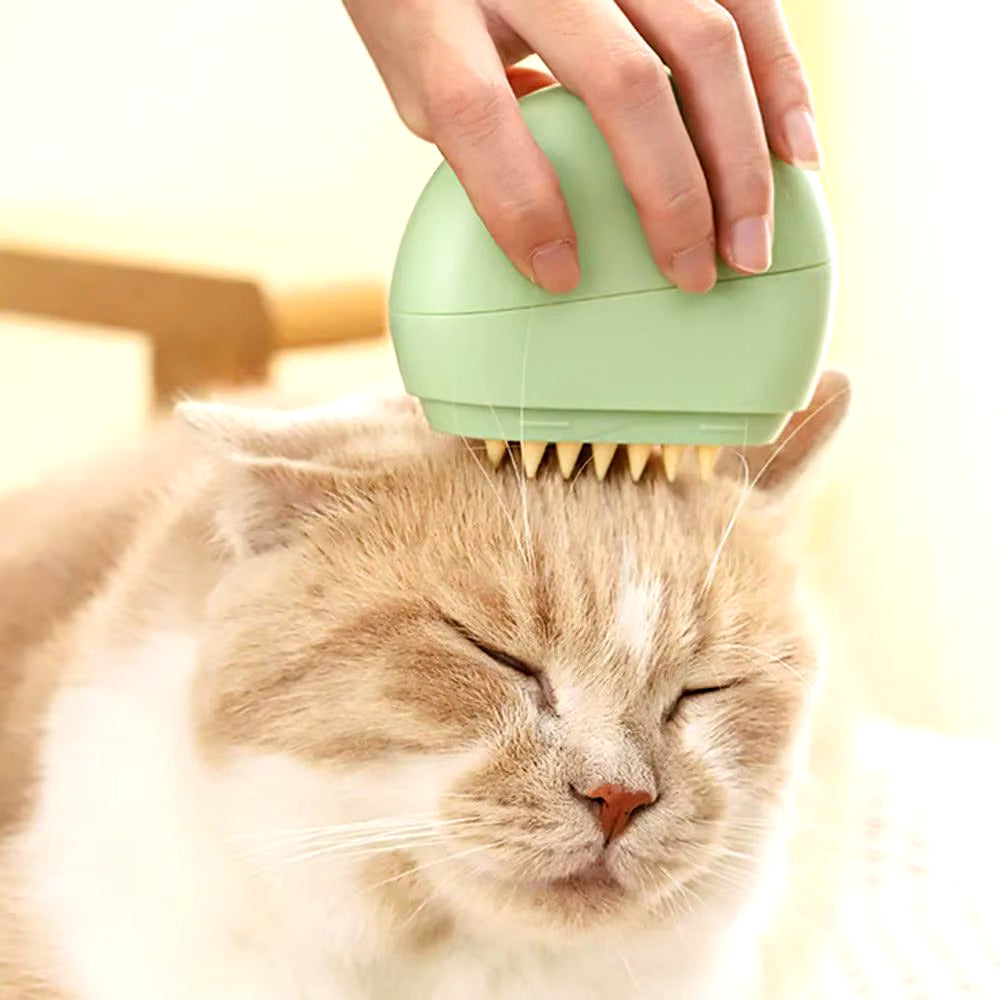 Benefits Of Grooming Your Cat