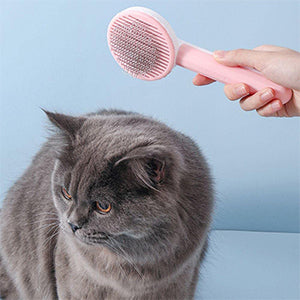 Pet Grooming Brush (Mix Colour)