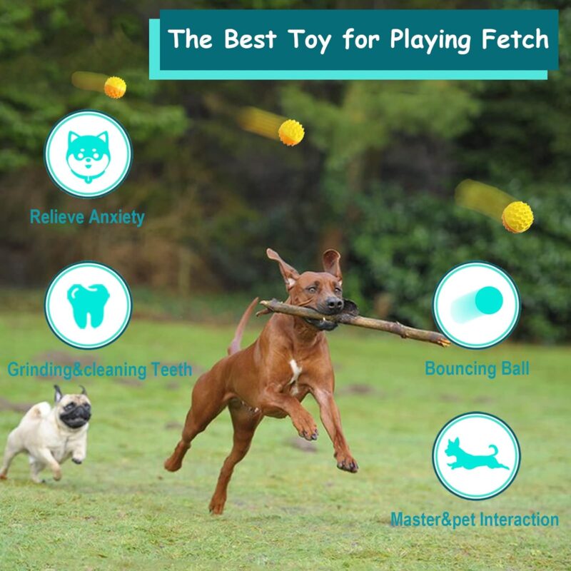 Dog Chew Ball Toy