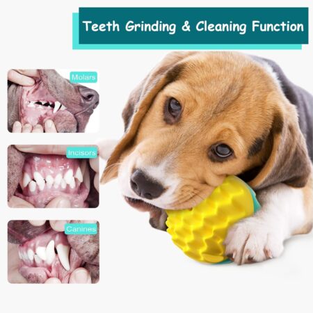 Dog Chew Ball Toy