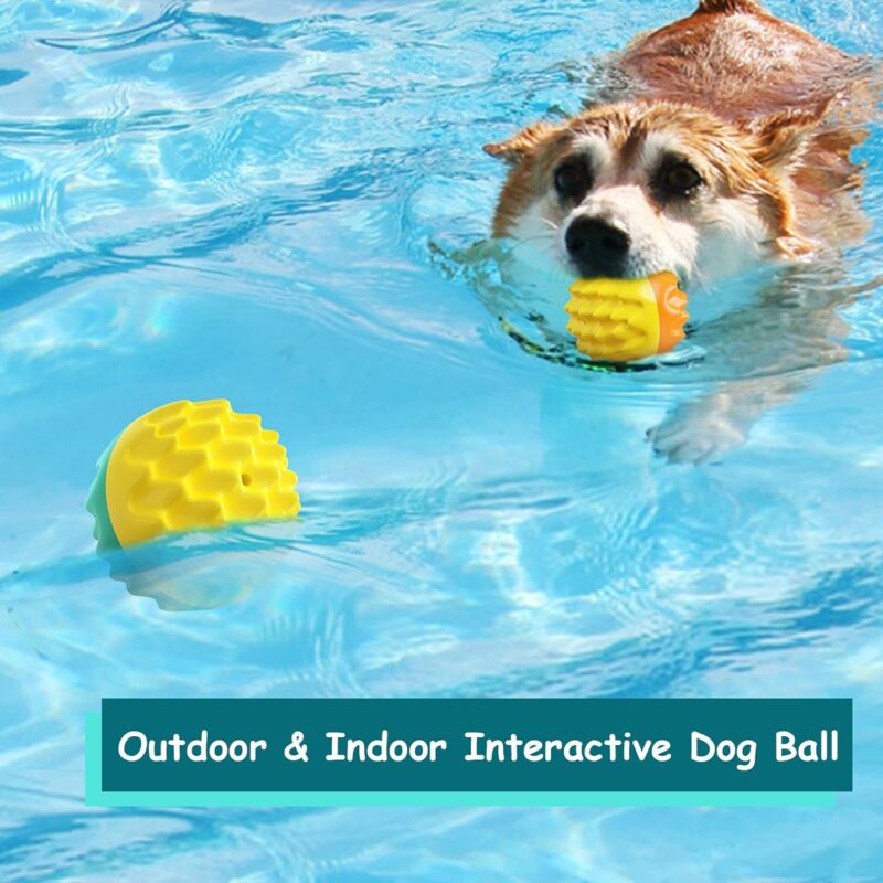 Dog Chew Ball Toy