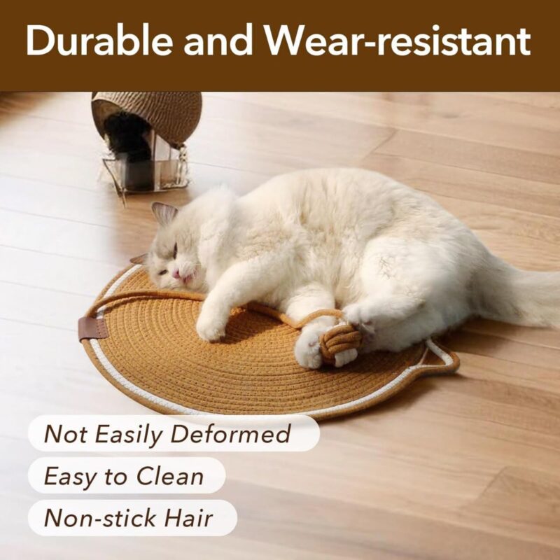 Cat Scratch Pad