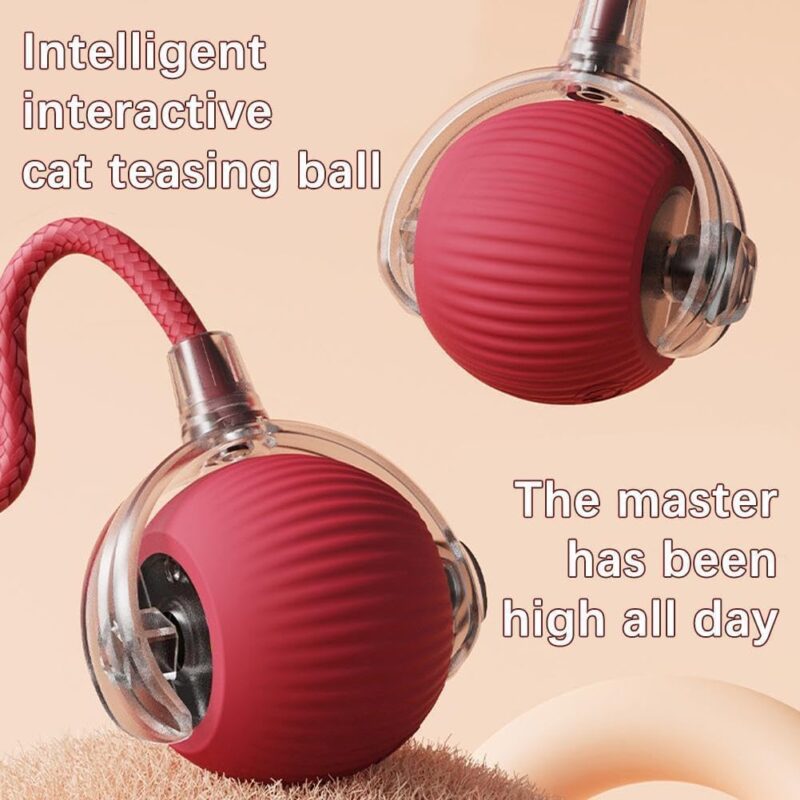 Interactive Pet Toy Ball for Dogs & Cats
