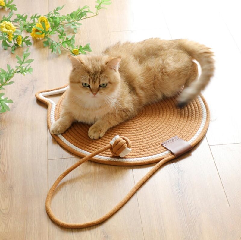 Cat Scratch Pad