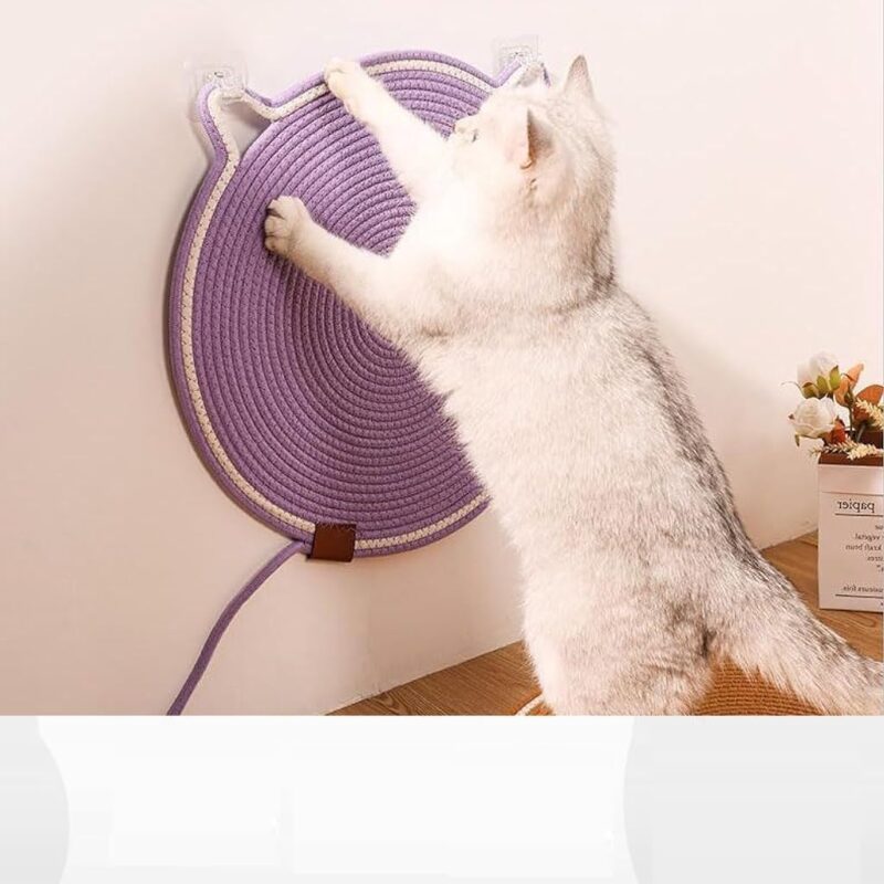Cat Scratch Pad