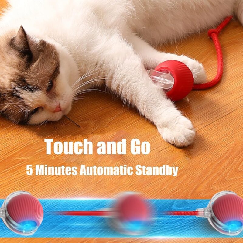Interactive Pet Toy Ball for Dogs & Cats