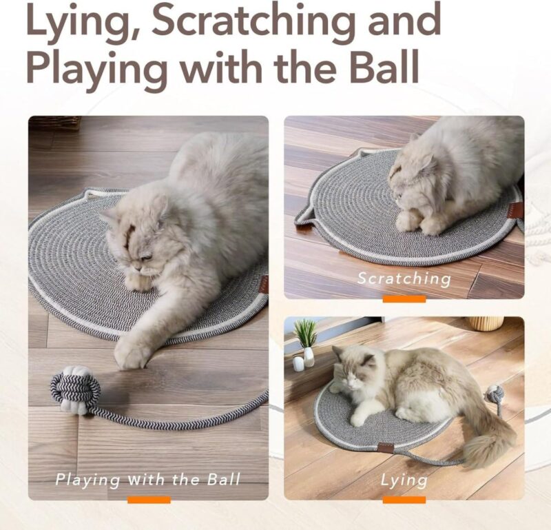 Cat Scratch Pad
