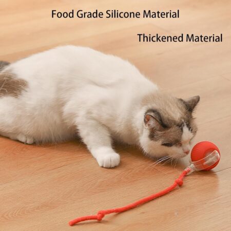Interactive Pet Toy Ball for Dogs and Cats