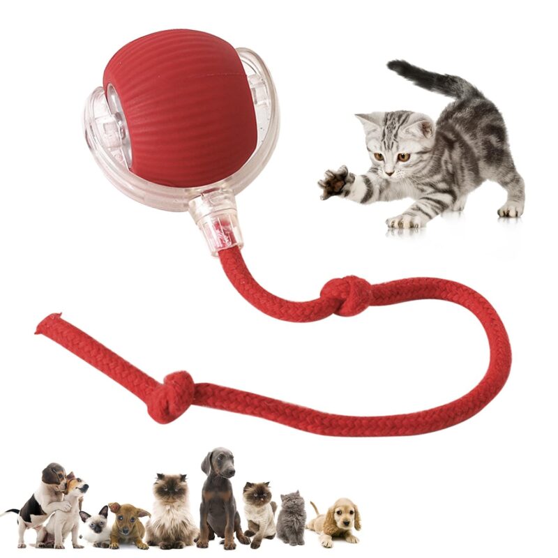 Interactive Pet Toy Ball for Dogs and Cats