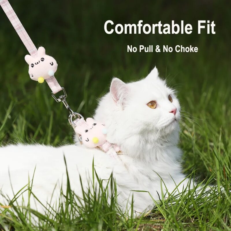Star Dog Leash for Small Dog
