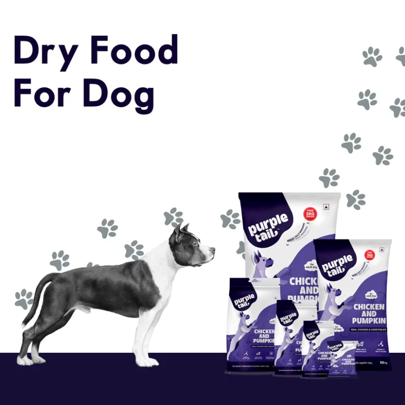 Chicken and Pumpkin Dry Dog Food
