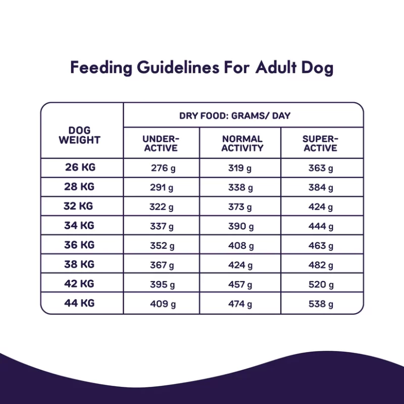 Chicken and Pumpkin Dry Dog Food