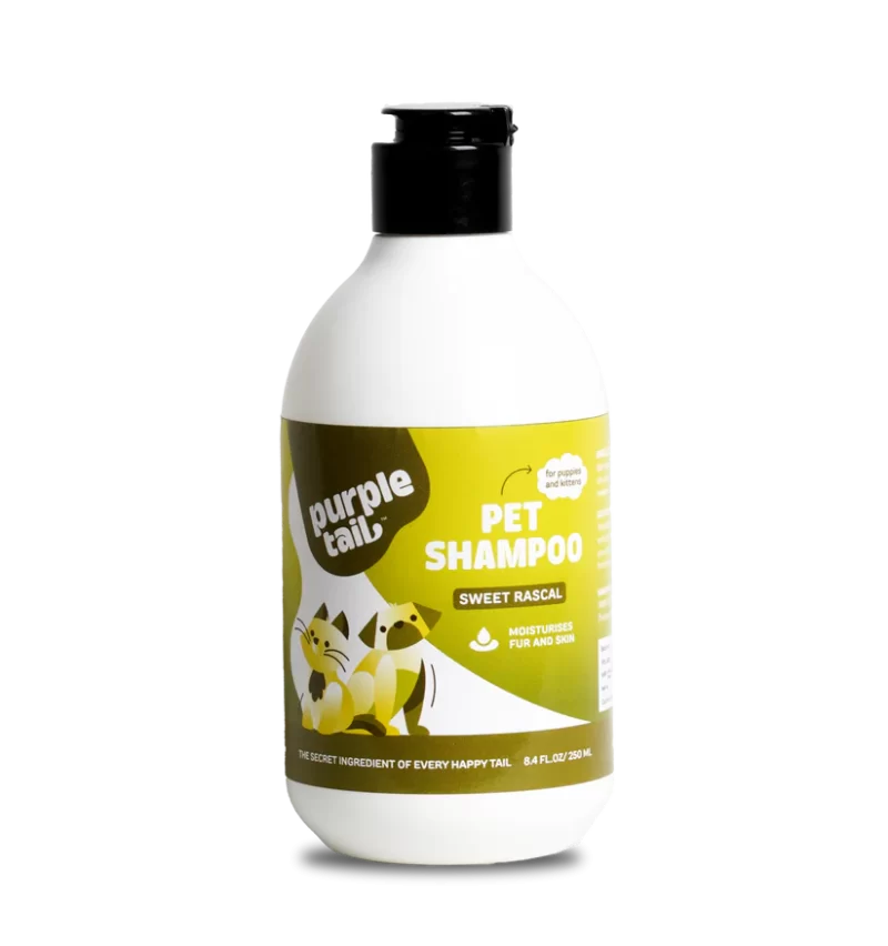 Sweet Rascal Pet Shampoo for Puppies and Kittens